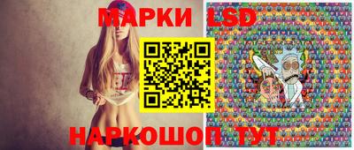 сатива Бердск