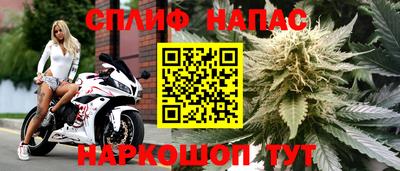 спиды Белореченск