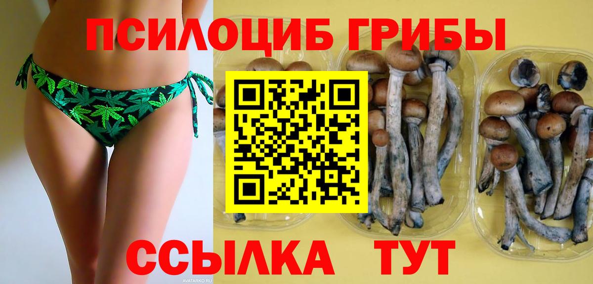 Псилоцибиновые грибы GOLDEN TEACHER Белореченск